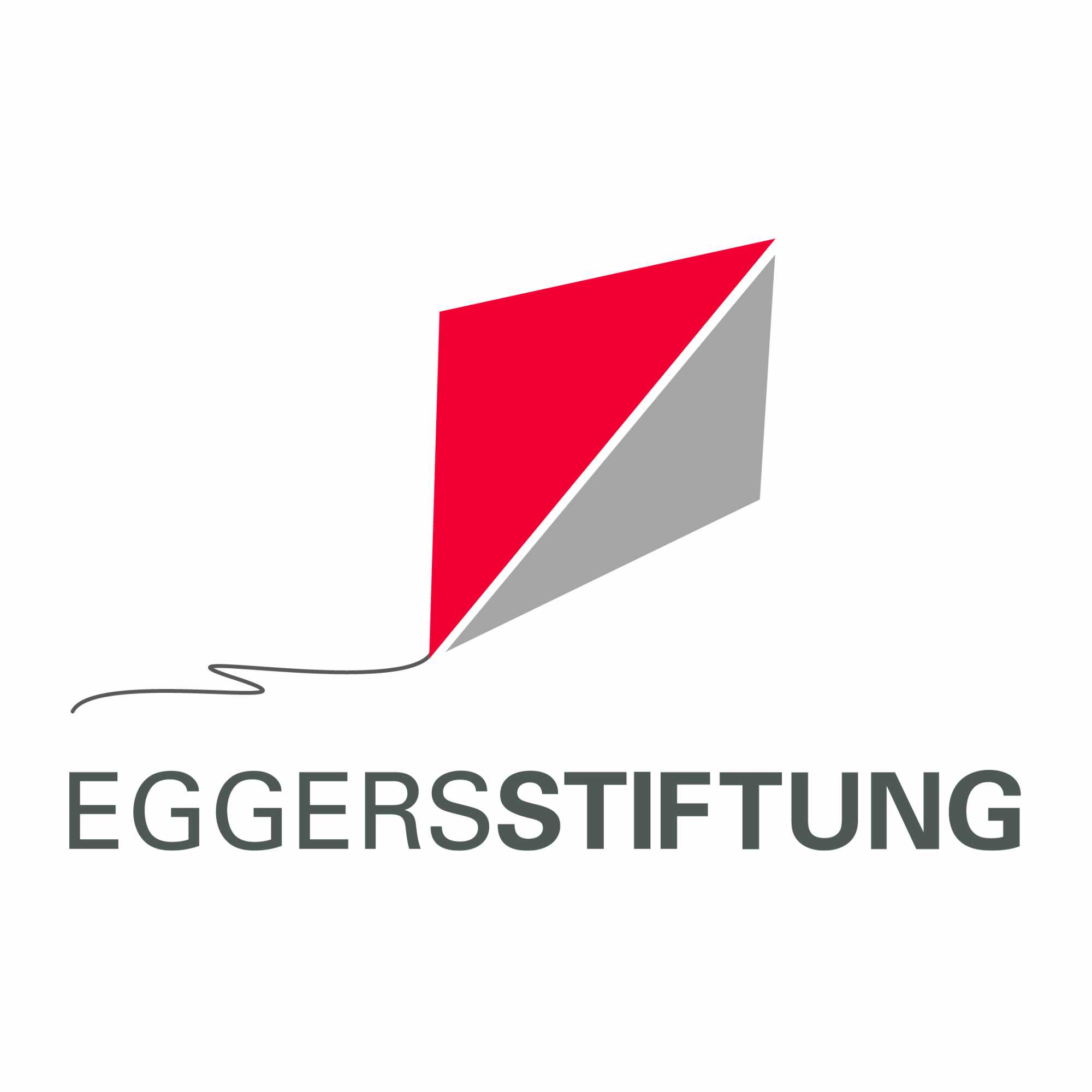 Logo Dr. Eggers-Stiftung